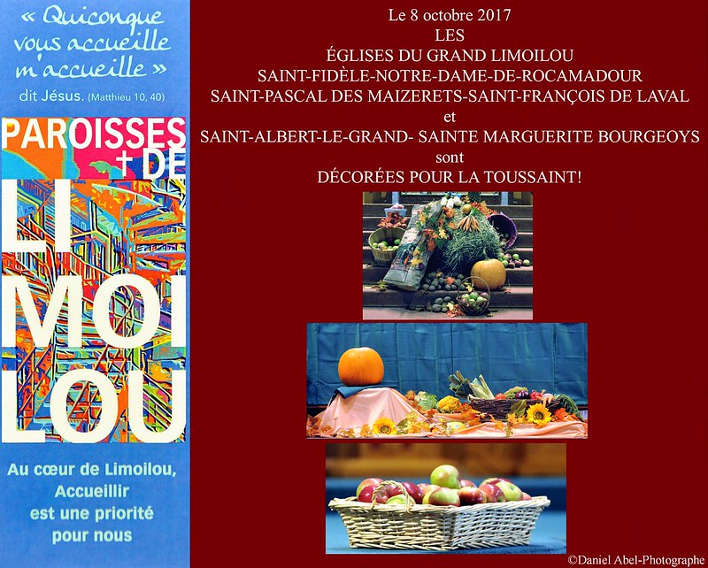 37560982642_df5a0f6ec2_c